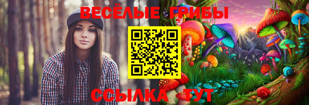 Галлюциногенные грибы Psilocybe  Вход с VPN  Буйнакск 