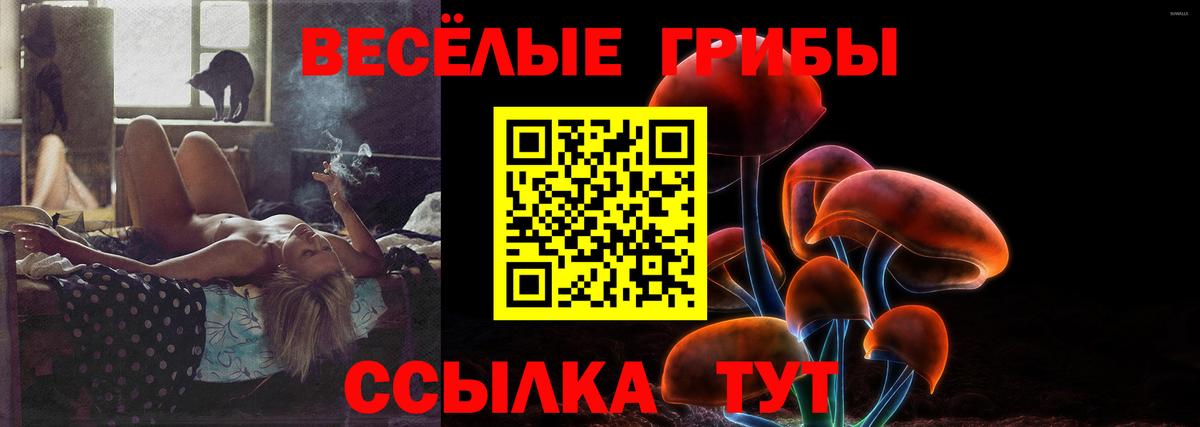 Галлюциногенные грибы Cubensis Буйнакск